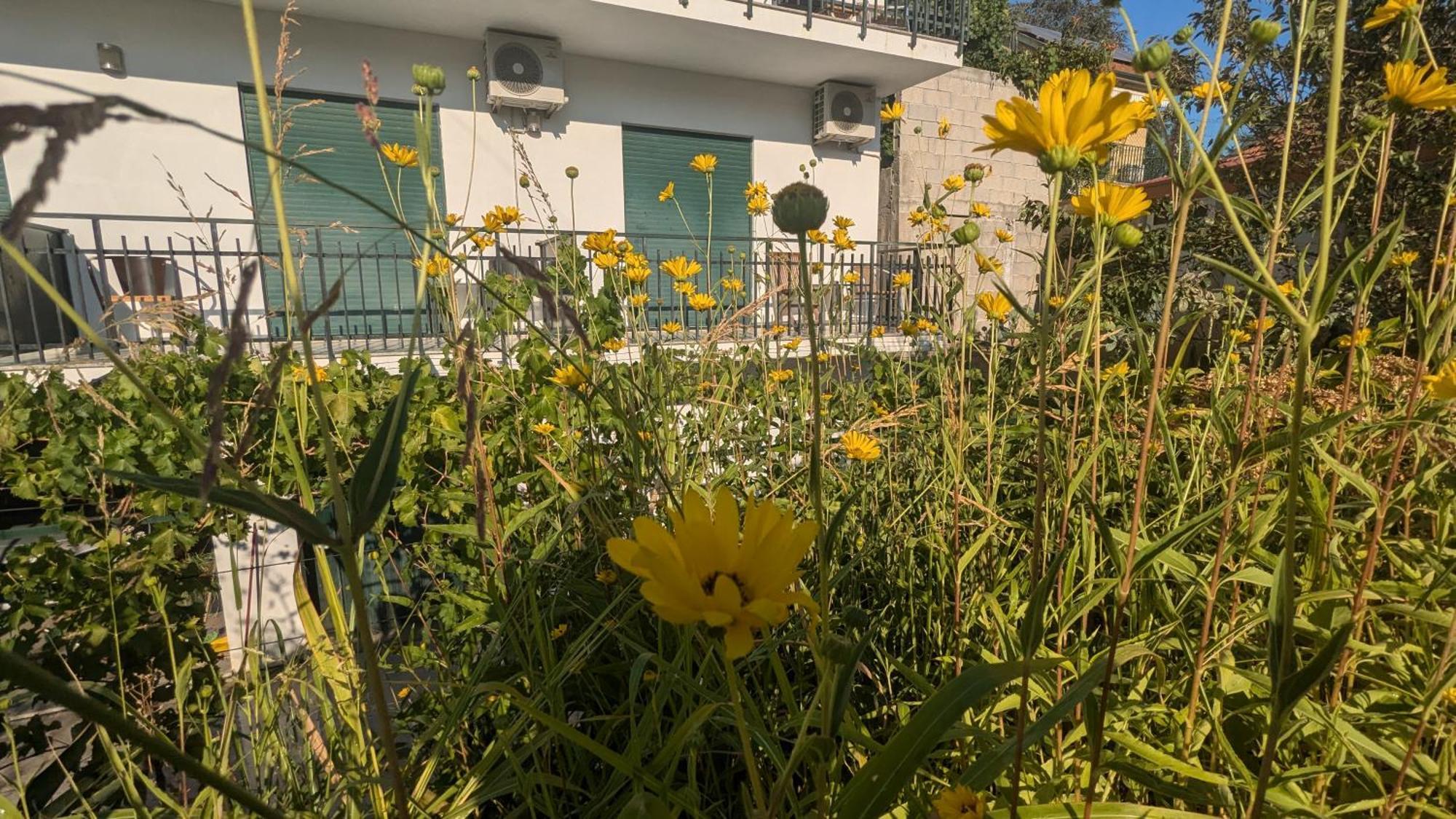 Casa Do Olival 호텔 페소다레과 외부 사진