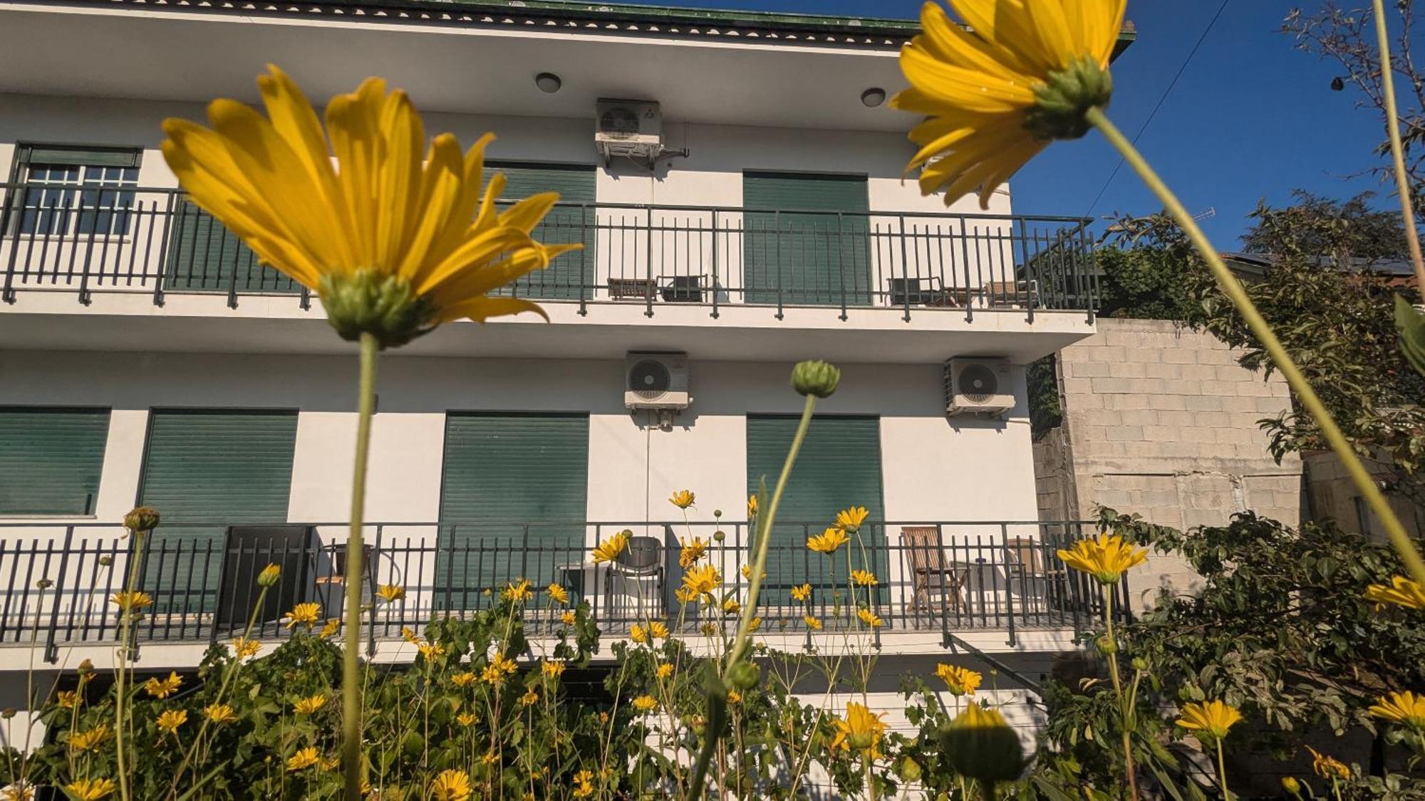 Casa Do Olival 호텔 페소다레과 외부 사진